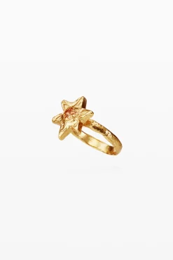 Anillo con centro de estrella Zalio