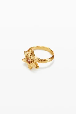 Anillo con centro de estrella Zalio