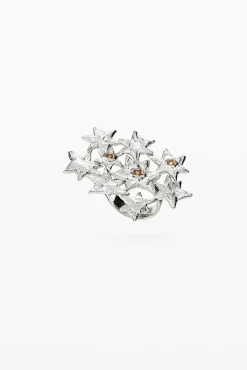 Anillo de estrellas Zalio