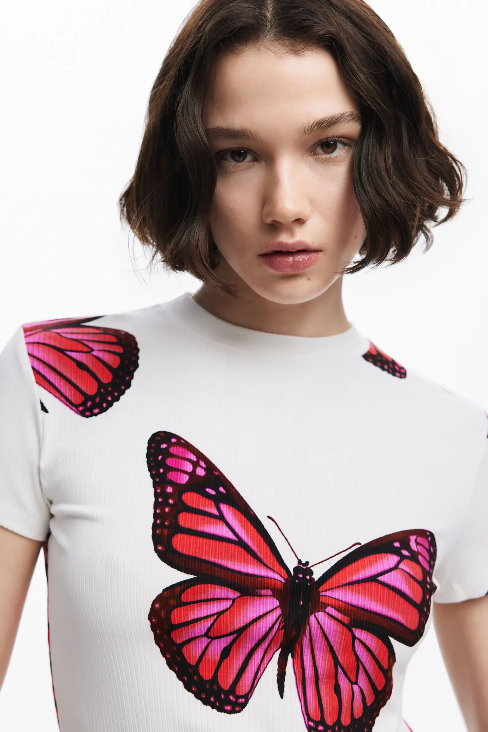 Camiseta mariposas