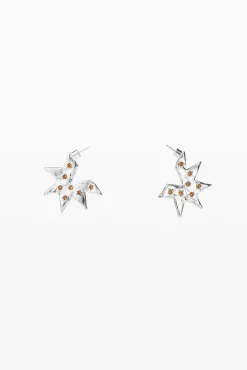 Pendientes  en forma de estrella plata Zalio
