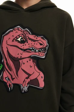 Sudadera dinosaurio