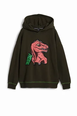 Sudadera dinosaurio