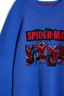 Sudadera Spiderman sin capucha